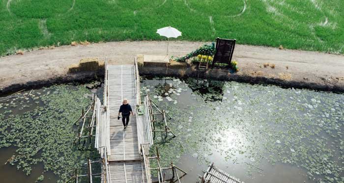 fish-pond2